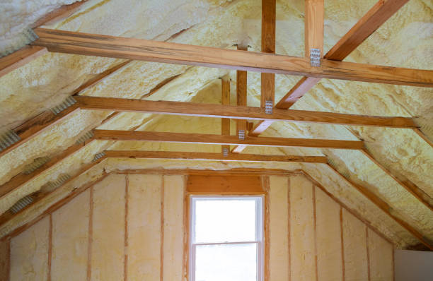 Best Geographic-Specific Insulation Services in Pageland, SC